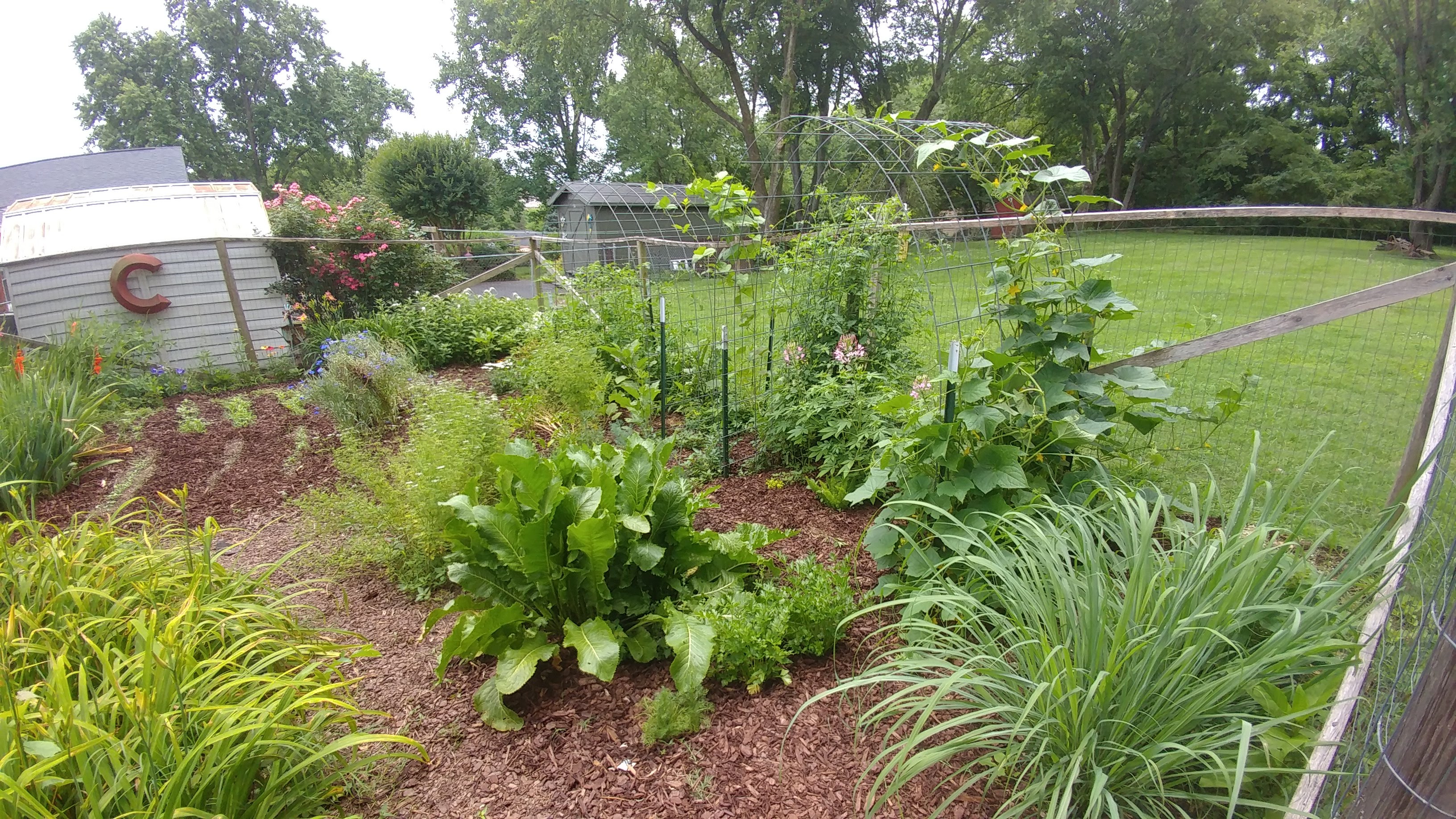 Amy Cate’s Garden — Continued