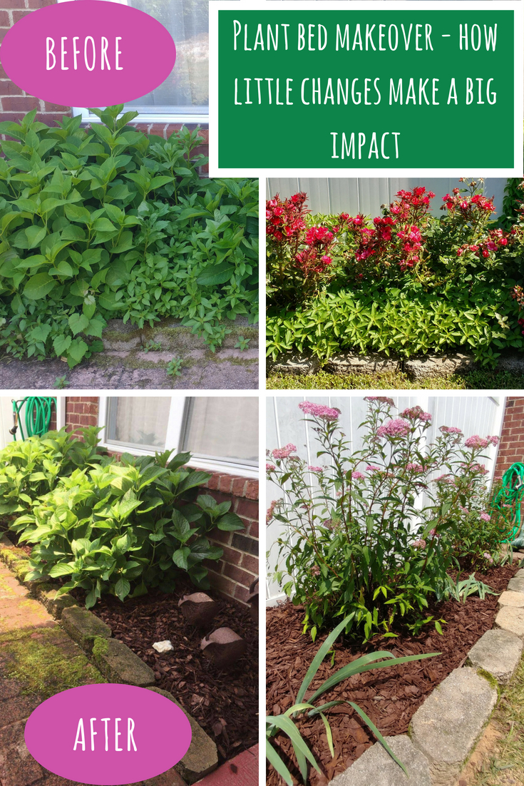 plant bed makeover - how little changes make a big impact
