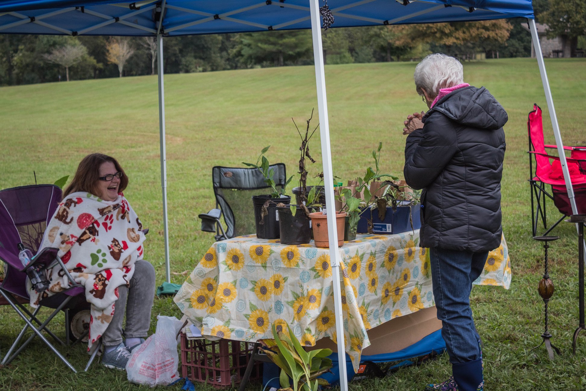 Gardeners chatting under a canopy at Middle Tennessee Plant Swap Fall 2018