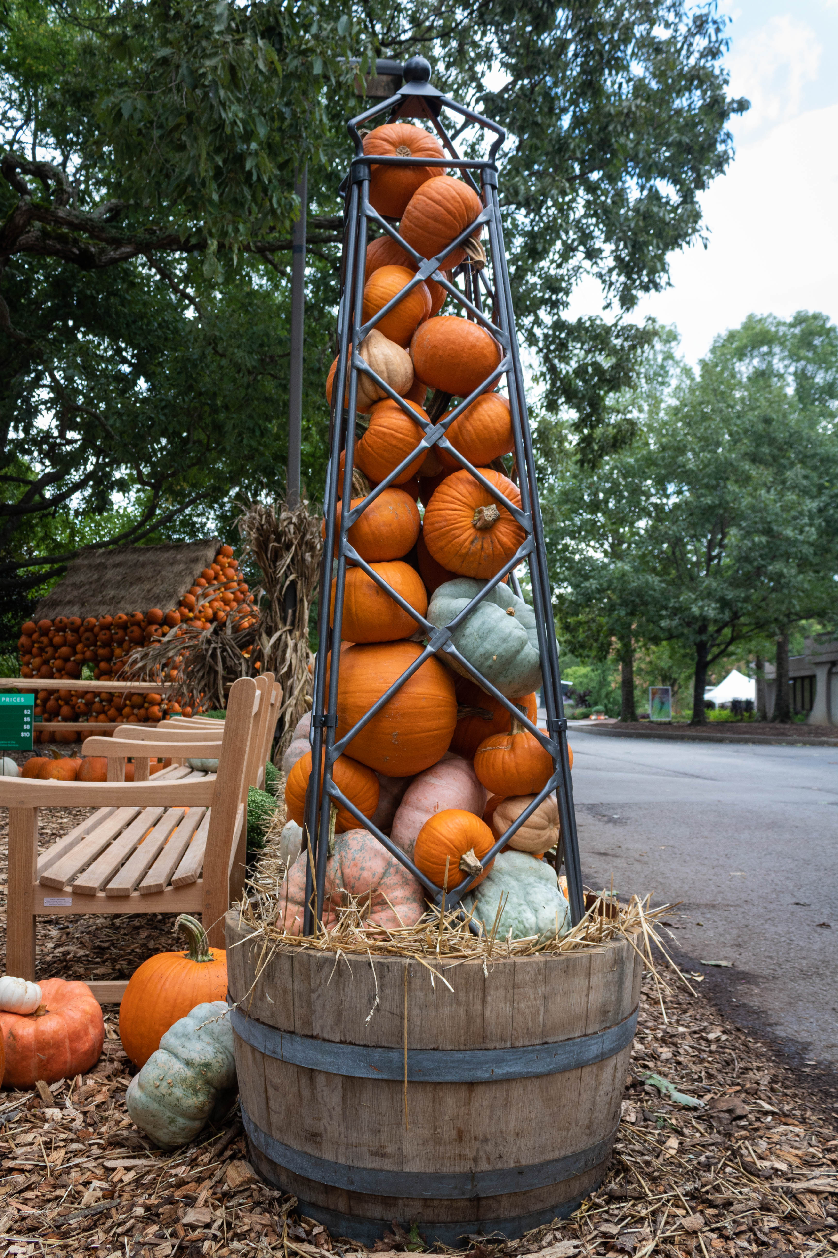 Pumpkin obelisk container display at Cheekwood Harvest