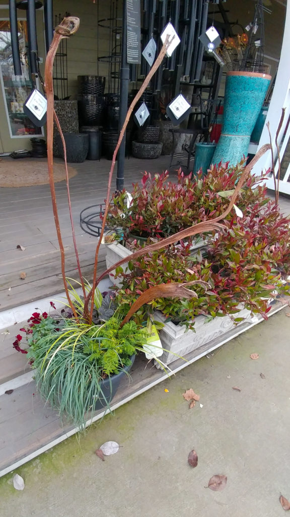 Unusual branches for winter container