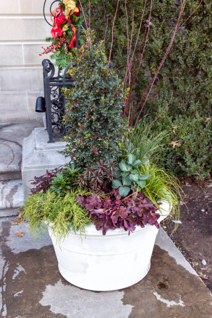 Winter container at Cheekwood mansion