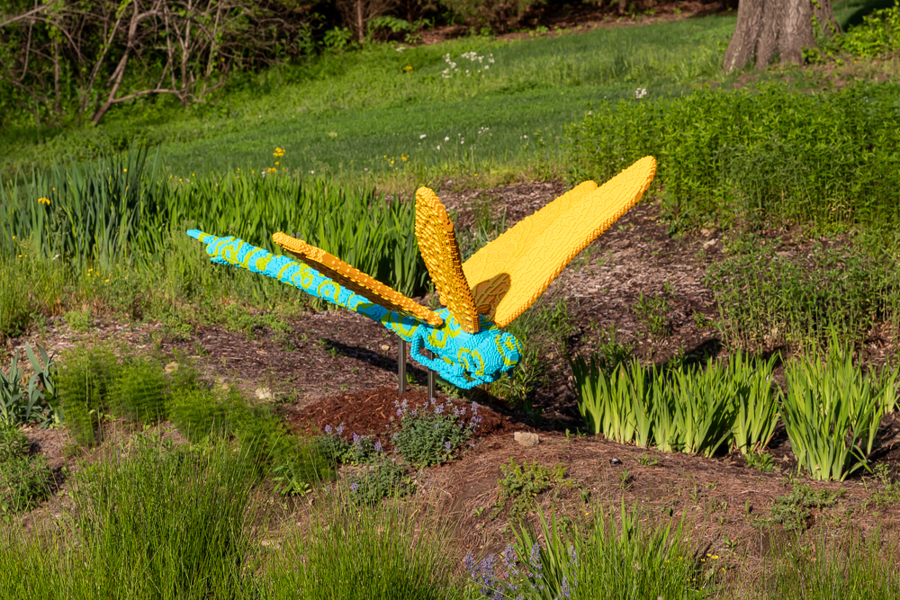 Dragonfly made of Legos, with yellow wings and a body with light blue Legos and yellow swirls in the rain garden at Cheekwood