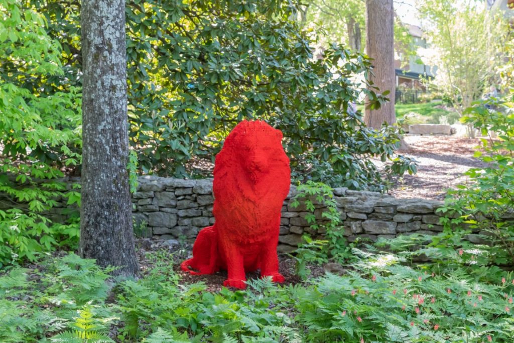 Red lion in shade garden with ferns and a rock wall behind and magnolia tree behind him