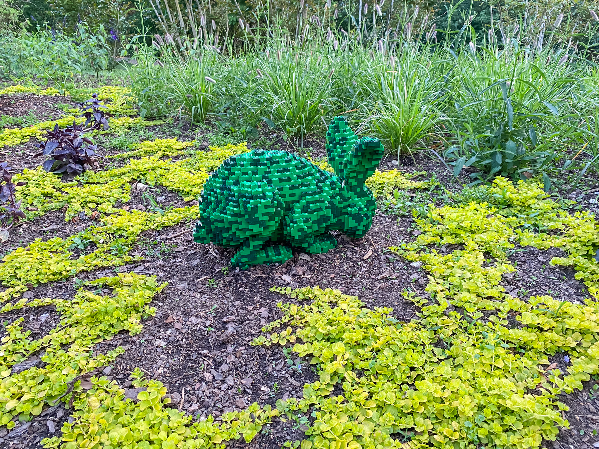 Light and dark green Lego rabbit surrounded by creeping jenny and ornamental grasses