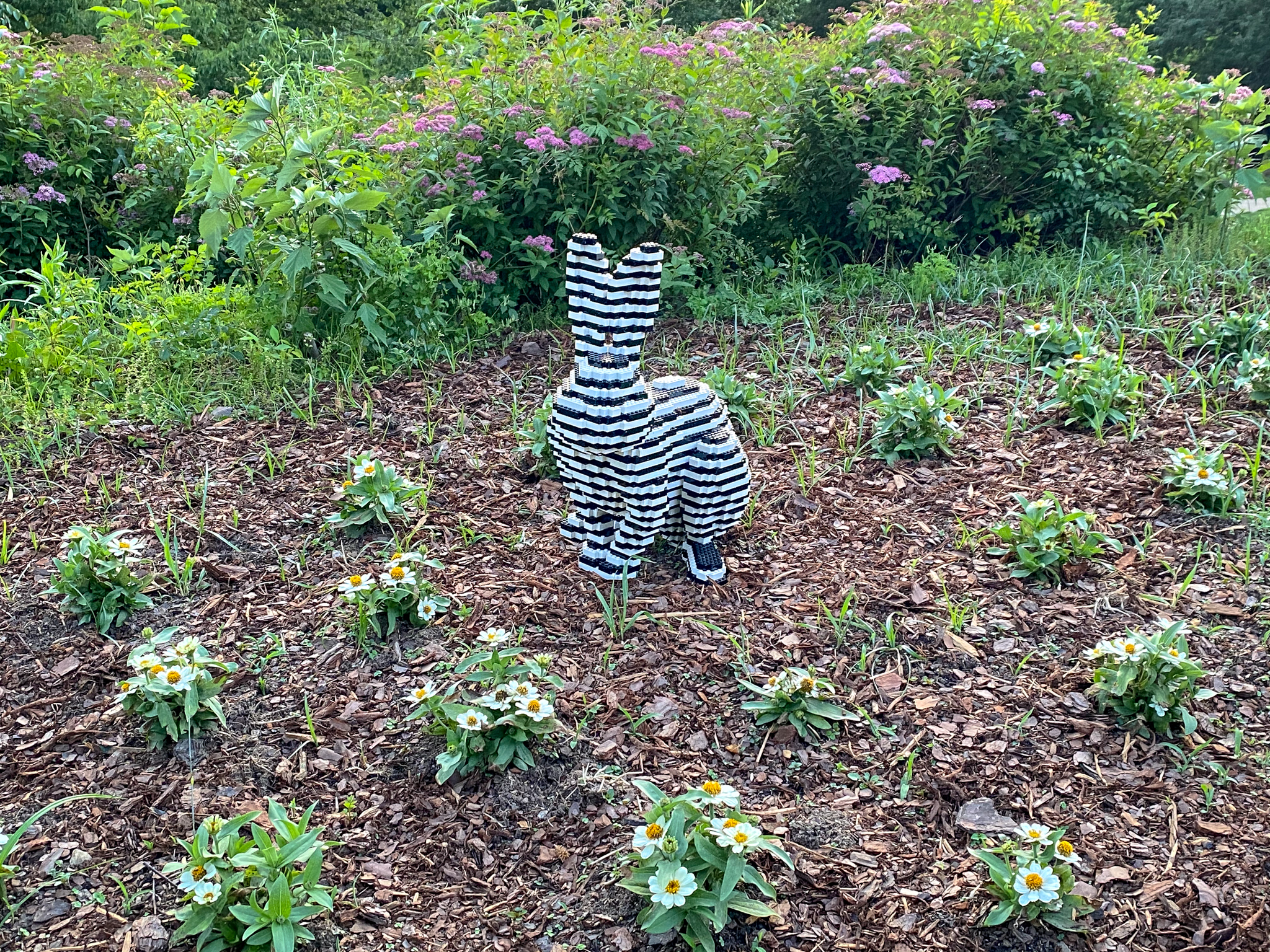 Black and white horizontal striped Lego rabbit surrounded by short white zinnias with yellow stamens and pink spirea in the background