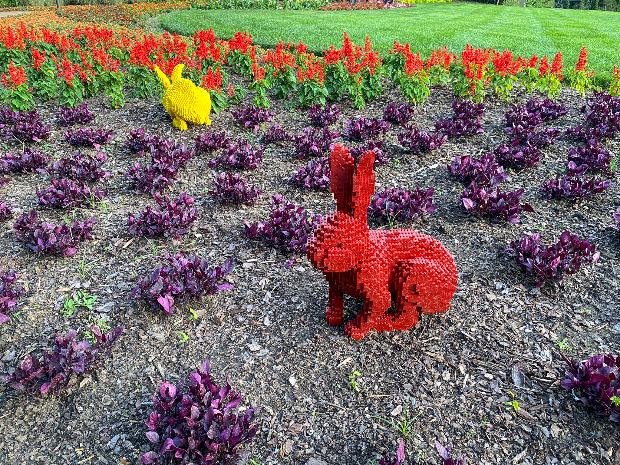 Red Lego rabbit in foreground and yellow Lego rabbit in background surrounded by purple foliage annuals 