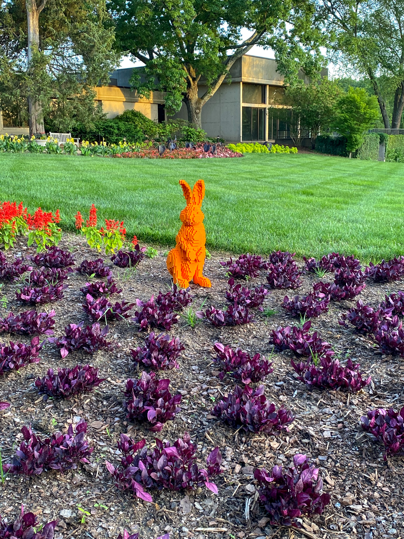 Standing orange Lego rabbit surrounded by purple foliage annuals and a grass lawn behind