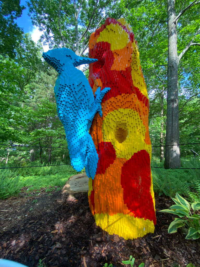 Blue Lego Woodpecker on a Lego tree snag made with red, orange, and yellow Legos in patches in a wooded area of Cheekwood with ferns in the background